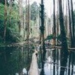 Malcom Jones - @mj323051 - Instagram
