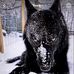 Malcom Jones - Facebook