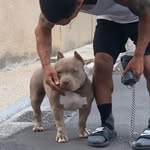 Malcolm Reid - @malcolm_reid01 - Instagram
