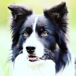 malcom - @malcom_wilson1 - Instagram