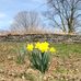 Malcom Wilson Park - Facebook