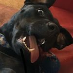 Malcolm Xavier - @ohmalcom - Instagram