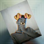 malcom Xavier - @malcomxaviermg13 - Instagram