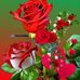 Malek Ali - Facebook