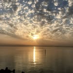 Malek Adel Saad - @malek.saad.10 - Instagram