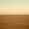 MaliaFriedman - @maliafriedman - TikTok
