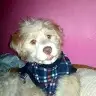 Antoo Villafuerte - @maliaclaireallen100 - TikTok
