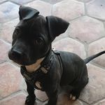 Malia Allen - @dmvallen0601 - Instagram