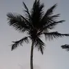 Malia Fleming - @malia.fleming4 - TikTok