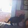 maliafox35 - @maliafox35 - TikTok