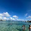 malia - @murphymalia - TikTok