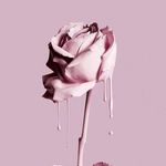 Malia Nelson - @malianelson99 - Instagram