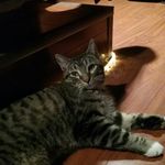 Mãlia Nełson - @malianelson2 - Instagram