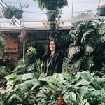 Malia Ross - @mr.16.wei - Instagram