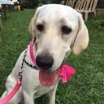 Malibu - @iamprincessmalibu - Instagram