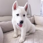 Malibu Parnell - @prince.malibu - Instagram