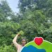 Abdoul Malick Diallo - Facebook