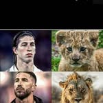 Malick Joof - @malick.joof.9235 - Instagram