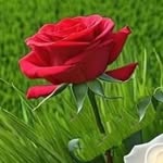 Malik - @malik_abbottabad - Instagram