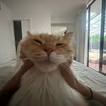 Malik Abdalla - @malikabdalla - Instagram
