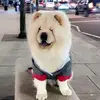 Malikooo111 - @malikabdalla111 - TikTok