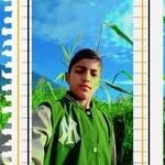 Malik Abid - @malikabid4462 - Instagram