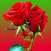 Malik Abid - Facebook