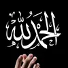 Malik Amer - @malikamer2 - TikTok