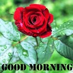 Barlow Malik - @barlow.malik - Instagram