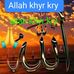Malik Bashir - Facebook