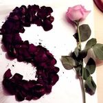 MalikBattle_girl - @mailk_story_battle - Instagram