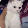 Malik Best - @emaanmalik92 - TikTok