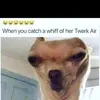 Malikdabest - @malikdabest843 - TikTok