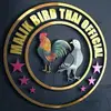 Malik Bird Thai Official - @malik.bird.thai.o - TikTok