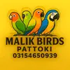 Malik Birds pattoki - @malikbirdstrader - TikTok