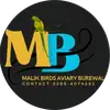MALIKBIRDSAVERYBUREWALA - @malikbirdsaverybu - TikTok