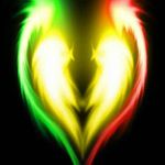 malikbowman21 - @malikbowman213 - Instagram