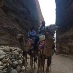 malik brewer - @malik.brewer - Instagram