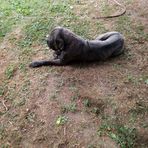 Malik Cameron - Facebook