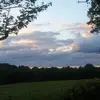 maliklatincannonford - @maliklatincannonford - TikTok