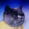 carsonmalik - @carsonmalik07 - TikTok