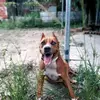 Malik Clarke8687 - @malikclarke8687 - TikTok