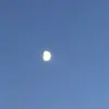 Malique - @malique.crowder - TikTok