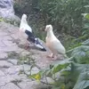 dalton_malik0134 - @dalton_malik0134 - TikTok