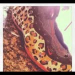 Malik downey - @good_kid_mad_city_malikd - Instagram