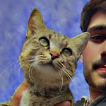 Malik Faisal - @mlk_faisal_ - Instagram