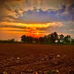 Farming - @malik_farmer_9348 - Instagram