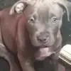 malikflores4 - @malikflores4 - TikTok