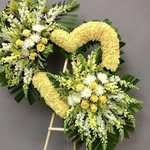 malik.flowers.in.bhawalnagar - @malik_flowersinbhawalnagar - Instagram