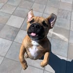 Malik Greene - @malik.the.pit - Instagram